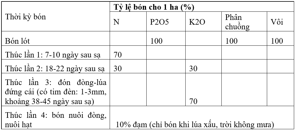 bai 4-moi-phan bon-bang6_1638160411.png